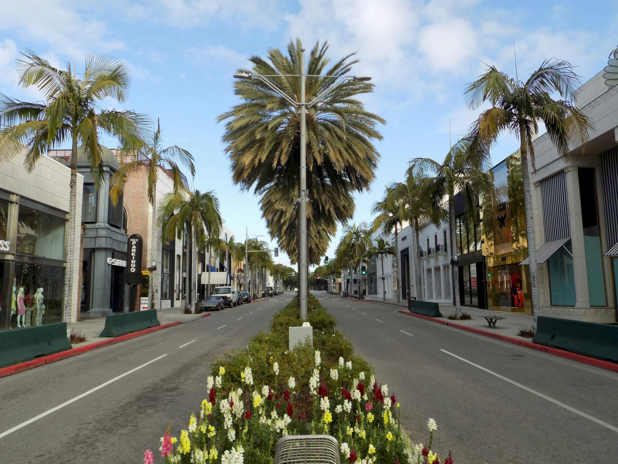 A palm-lined street with upscale stores, a central median featuring flowers, and a clear sky above, suggesting an elegant urban setting.